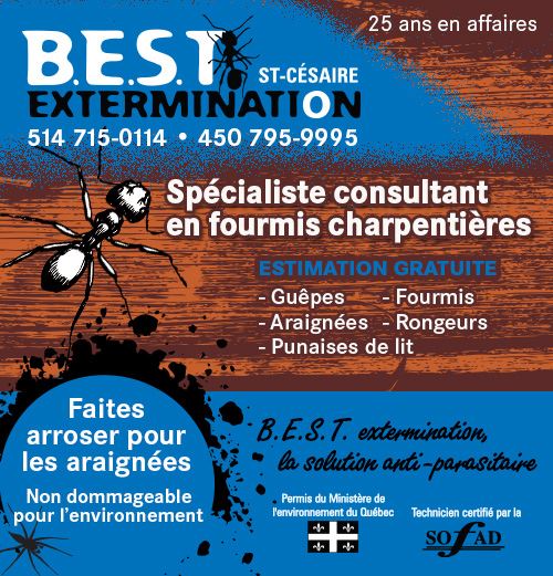 B.E.S.T. Extermination St-Césaire / Rougemont | 1150 Avenue Paquette, Saint-Césaire, QC J0L 1T0, Canada | Phone: (514) 715-0114