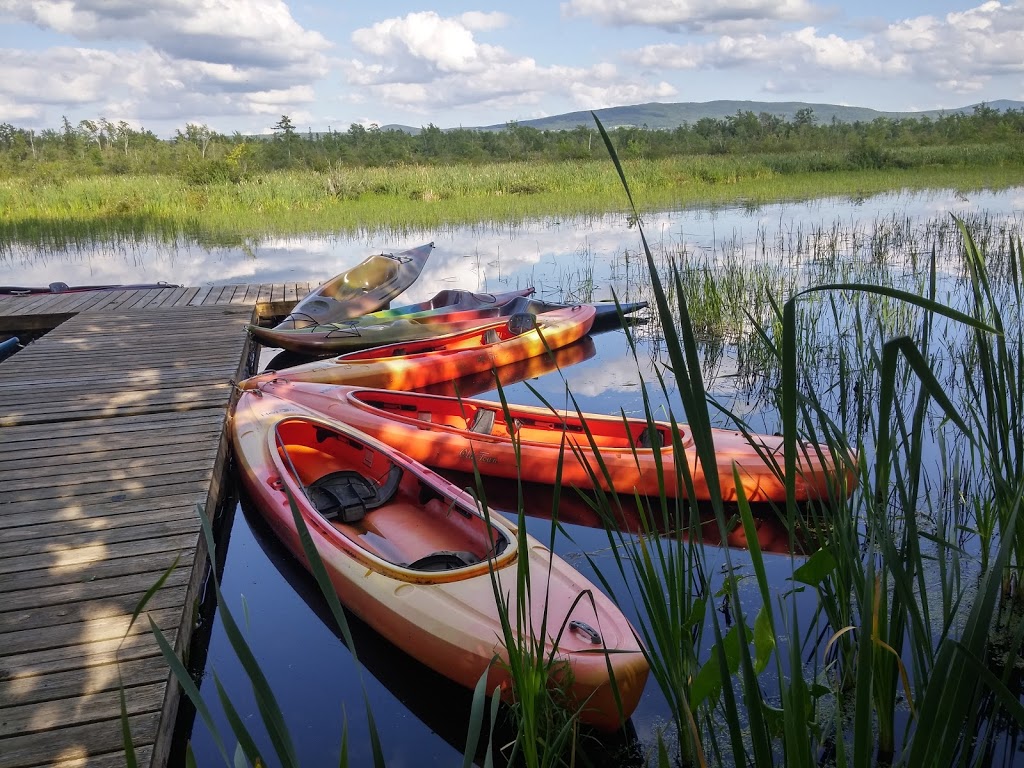 Réserve naturelle Quilliams-Durrull | Lac-Brome, QC J0E 1R0, Canada