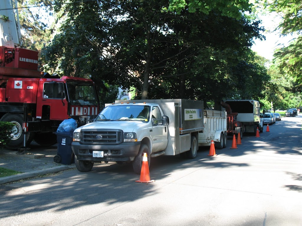 Skyline Tree Service Limited | 5095 Wixson St, Claremont, ON L1Y 1B6, Canada | Phone: (905) 649-3778