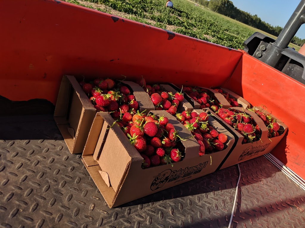 Friedensfeld Honey & Berry Farm LTD | 38109 Rd 31N, Friedensfeld, MB R5G 1M4, Canada | Phone: (204) 326-1500