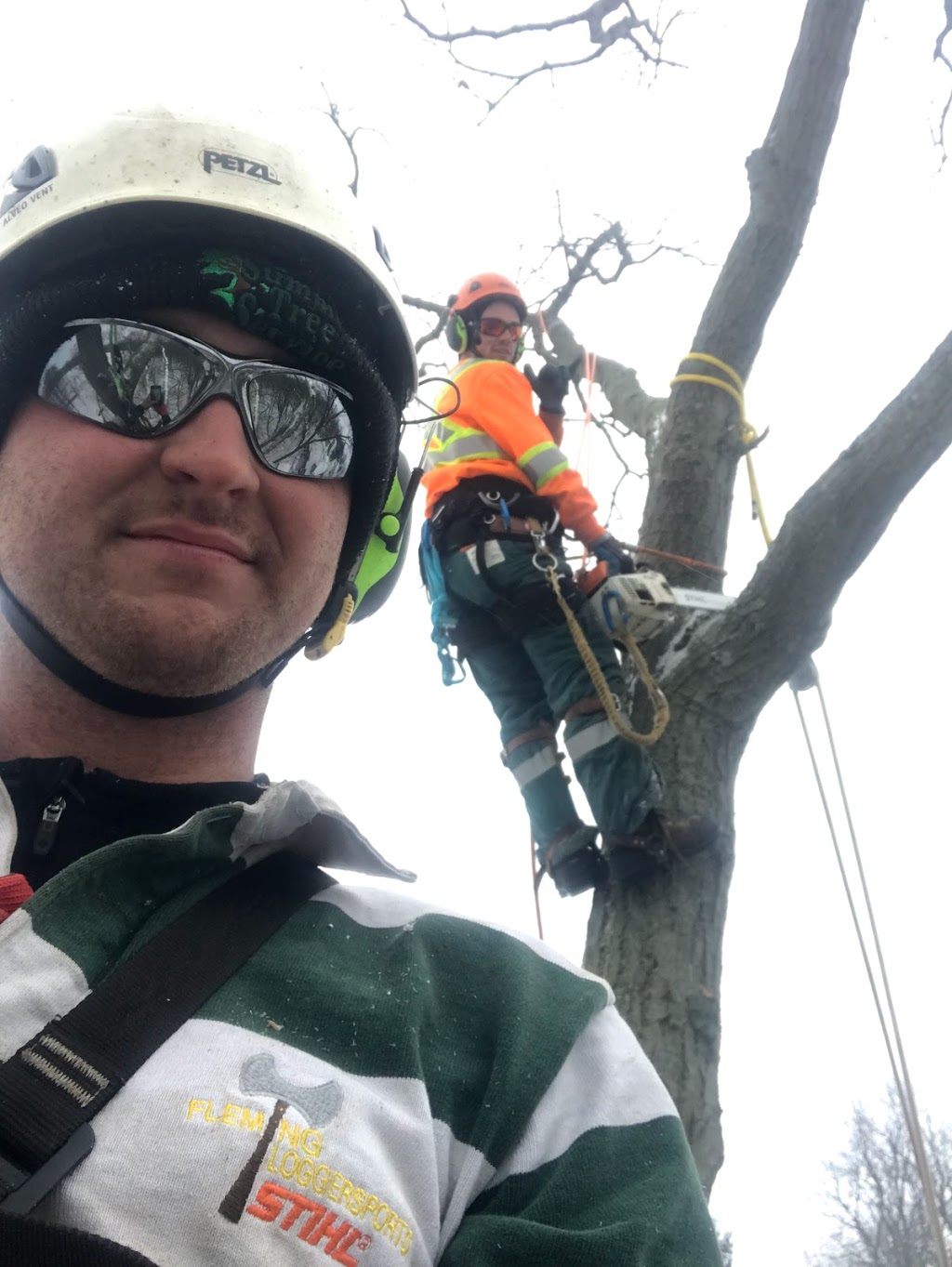 Summit Tree Service | 6709 Glendon Dr, Melbourne, ON N0L 1T0, Canada | Phone: (519) 868-0140