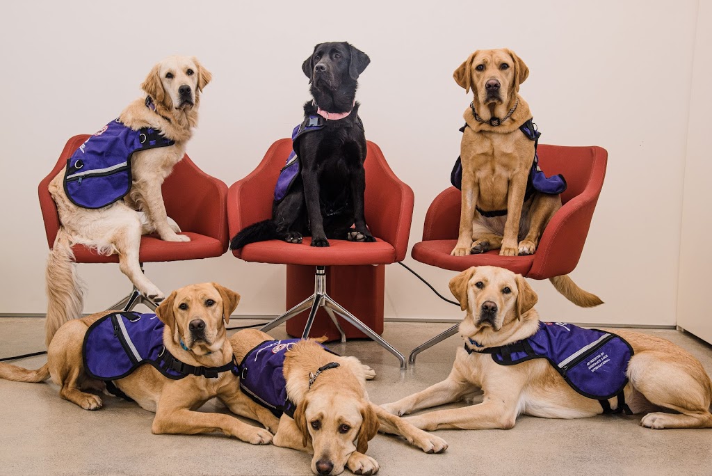 National Service Dogs | 1286 Cedar Creek Rd, Cambridge, ON N1R 5S5, Canada | Phone: (519) 623-4188