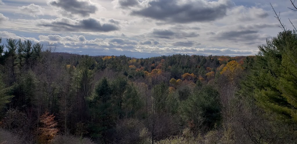 Glen Major Forest Trail - Lookout | Uxbridge, ON L0C, Canada