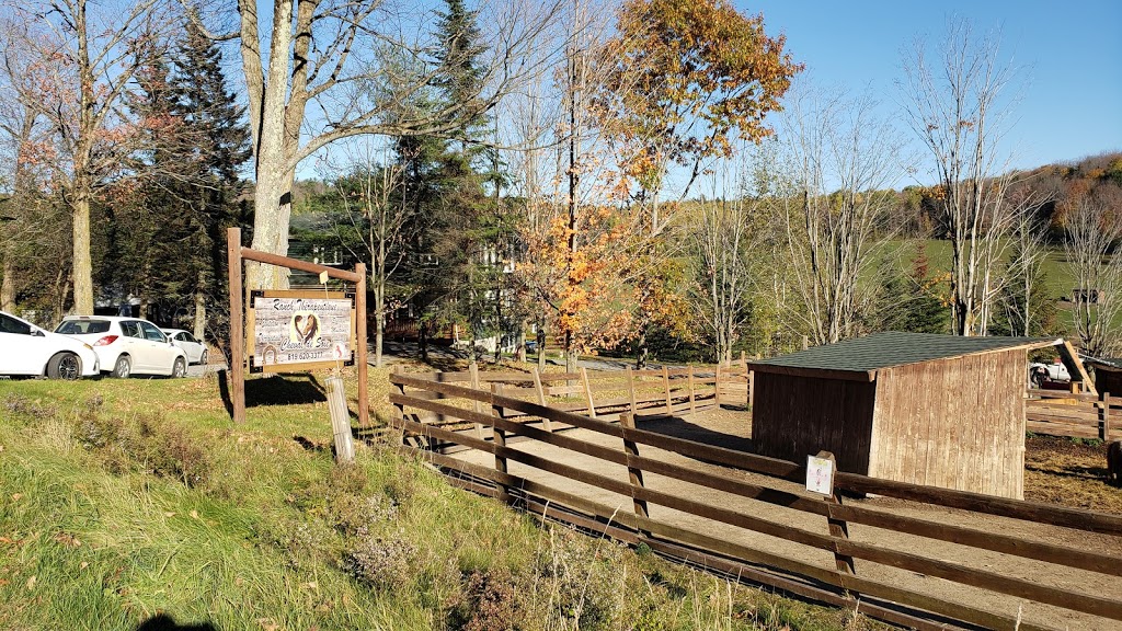 Ranch thérapeutique cheval de soie | 580 Chemin du Sanctuaire, Sherbrooke, QC J1H 0E1, Canada | Phone: (819) 620-3377