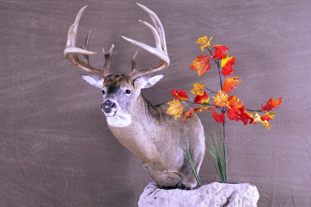 Big Game Wildlife Art and Taxidermy | 1726 Clyde Rd, Cambridge, ON N1R 5S7, Canada | Phone: (519) 620-9532