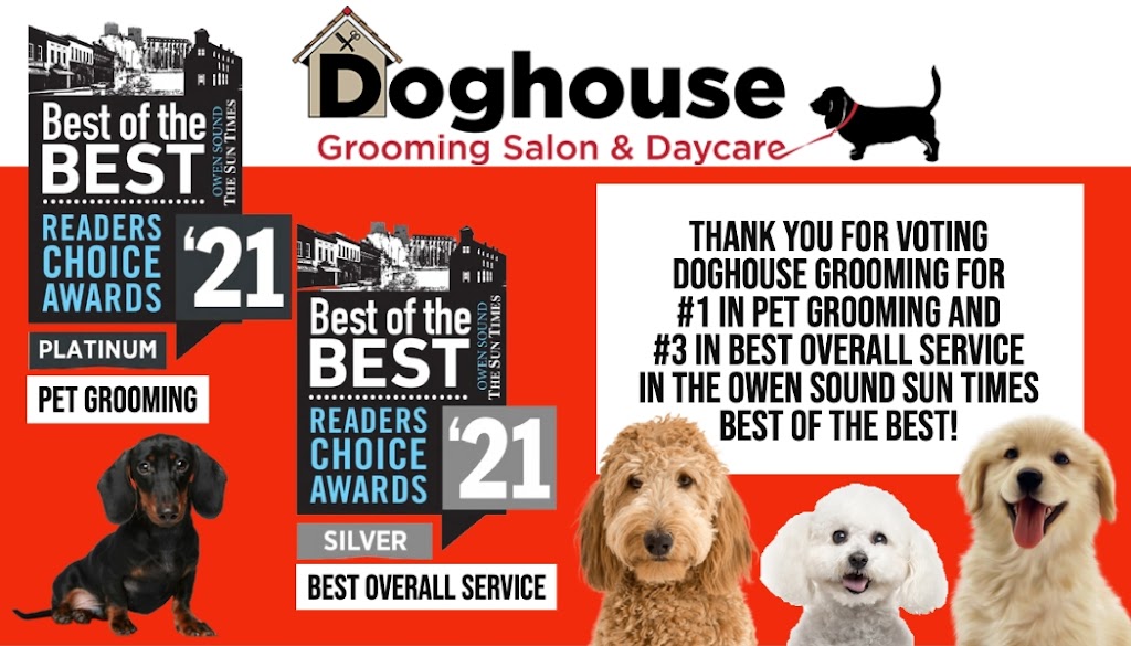 Doghouse Grooming Salon | 2220 3rd Ave W, Owen Sound, ON N4K 4S2, Canada | Phone: (519) 404-8825