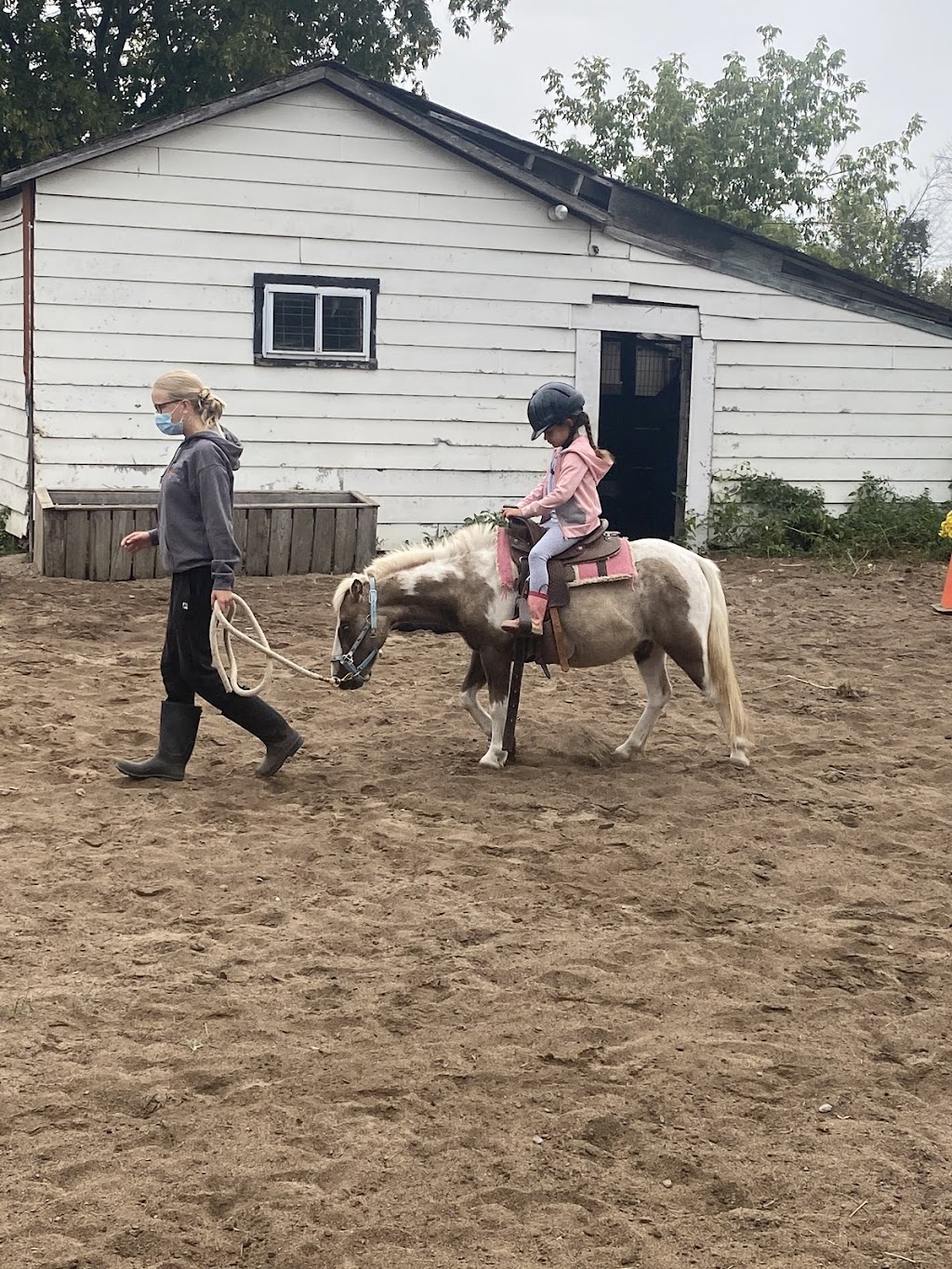 Equestrian Riding Center Bonanza | 65 Chem. de lÉquerre, Laval, QC H7L 1W3, Canada | Phone: (450) 625-6031