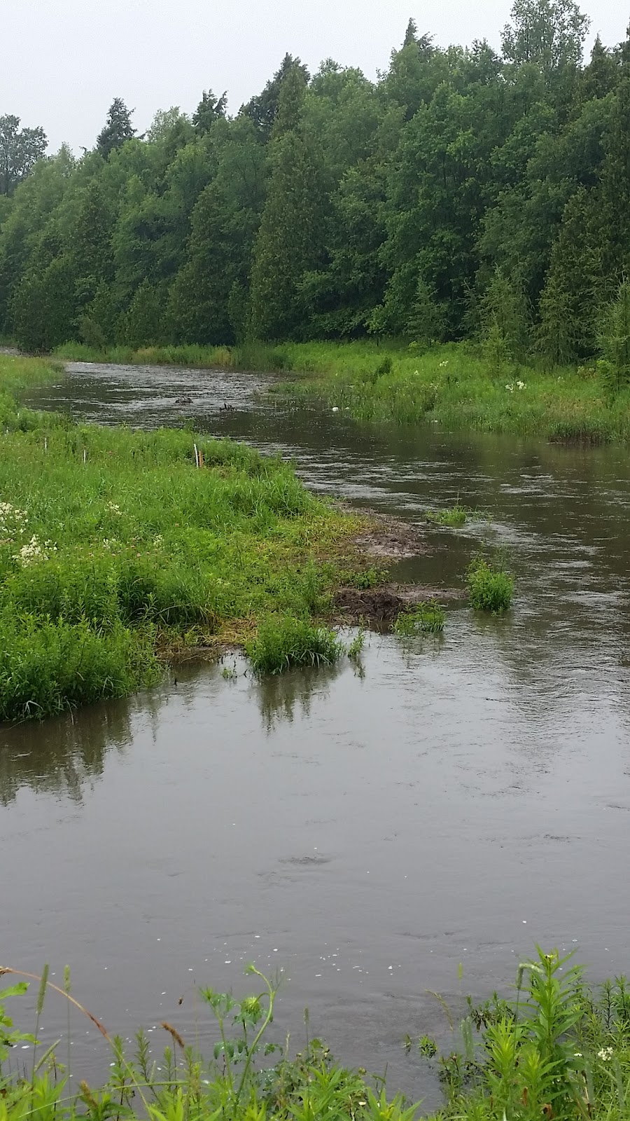 Upper Credit Conservation Area | Caledon, ON L7K 1S9, Canada