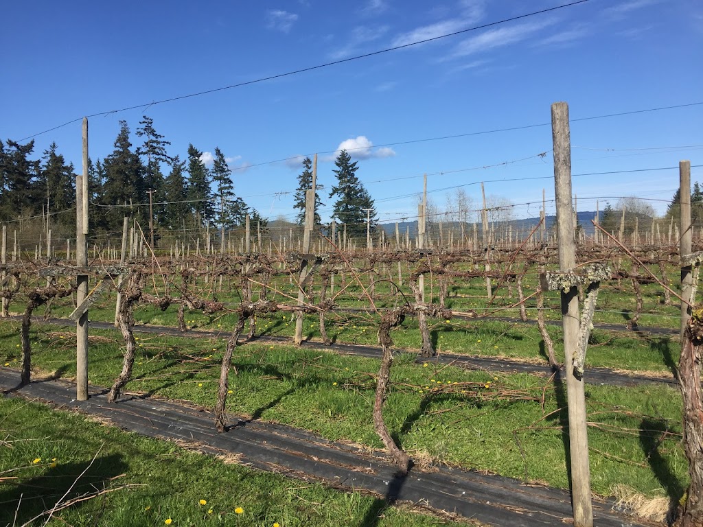 Divino Estate Winery LTD | 1500 Freeman Rd, Cobble Hill, BC V0R 1L3, Canada | Phone: (250) 743-2311