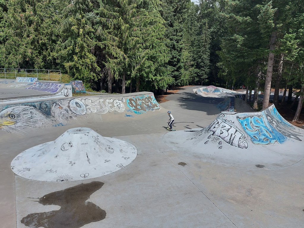 Whistler Skate Park | 4330 Blackcomb Way, Whistler, BC V0N 1B4, Canada | Phone: (604) 935-8189