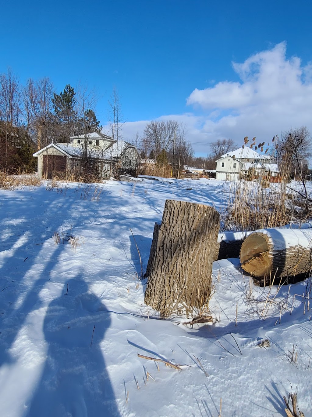 KESWICK RENOVATION | 199 Woodland Ave, Keswick, ON L4P 2N1, Canada | Phone: (416) 771-3434