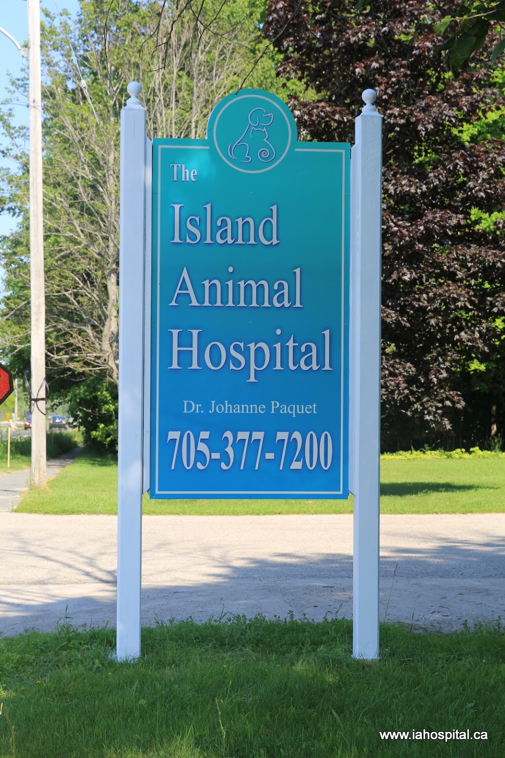 Island Animal Hospital (The) | B, 5993 ON-542, Mindemoya, ON P0P 1S0, Canada | Phone: (705) 377-7200