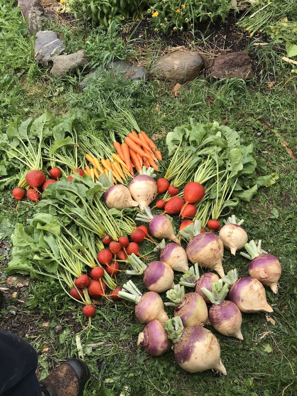 Ferme Avec La Pelure | 805 5e Rang O, Saint-Nérée, QC G0R 3V0, Canada | Phone: (418) 243-2244