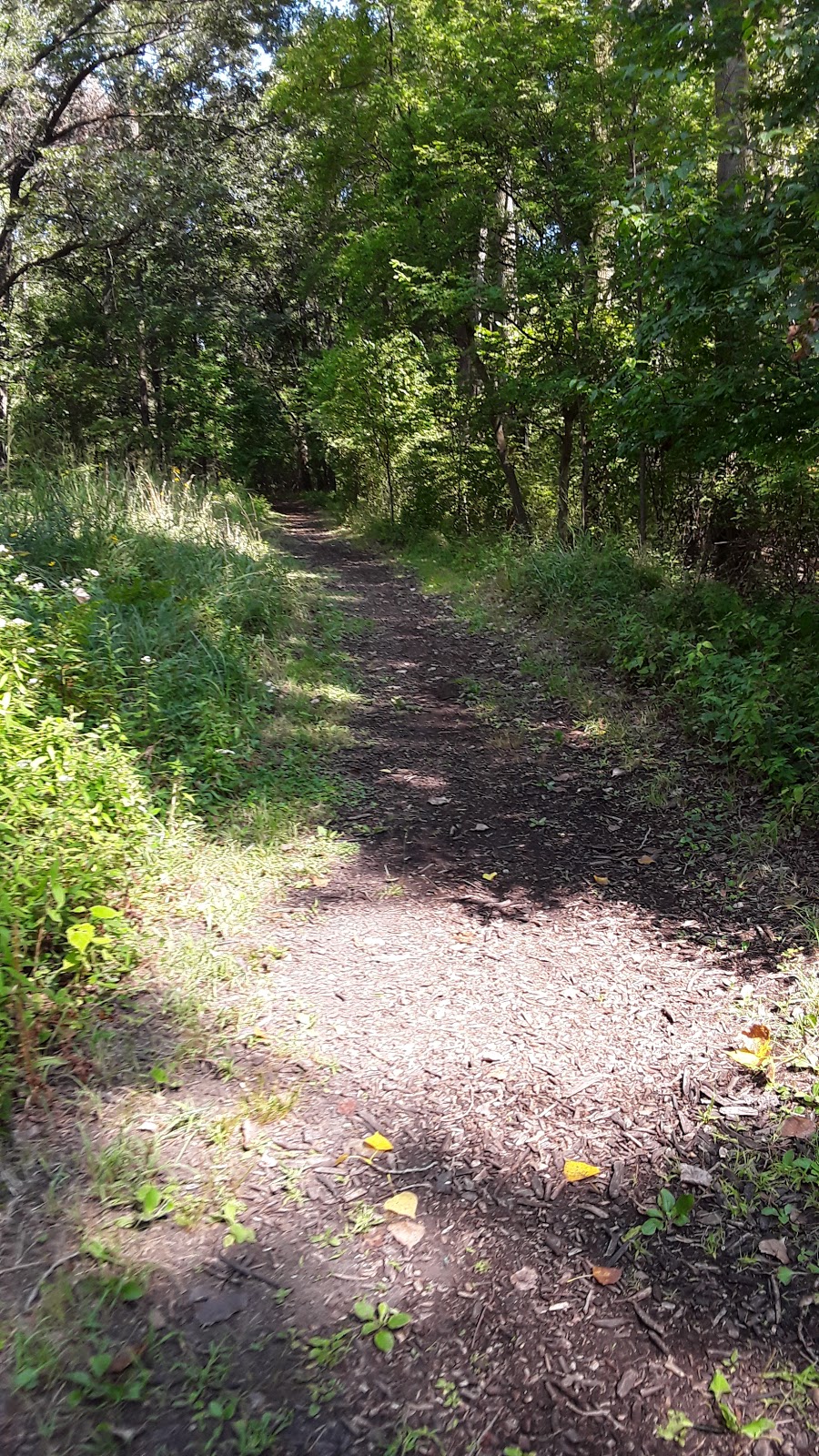 Ojibway Prairie Provincial Nature Reserve Parking lot and trail  | 5249 Elgin St, Windsor, ON N9E 3V3, Canada | Phone: (519) 966-5852