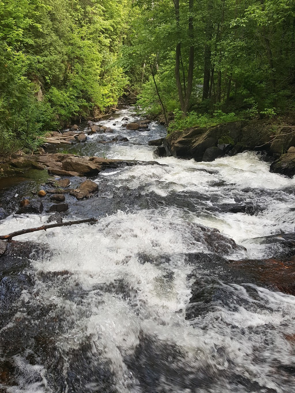 Au fil du temps | 373-411 Rang du Pied de la Montagne, Sainte-Marcelline-de-Kildare, QC J0K, Canada