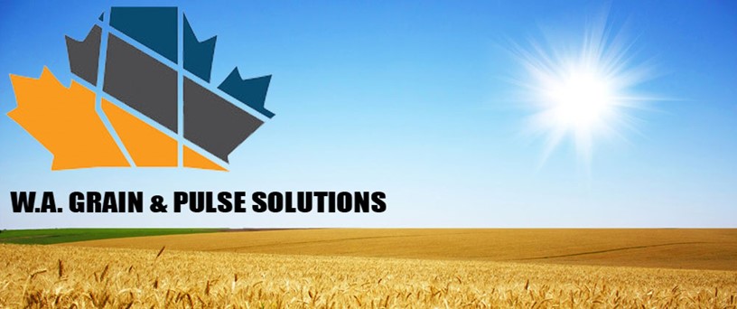 W.A. Grain & Pulse Solutions | 5110 48 St, Bashaw, AB T0B 0H0, Canada | Phone: (780) 372-4194