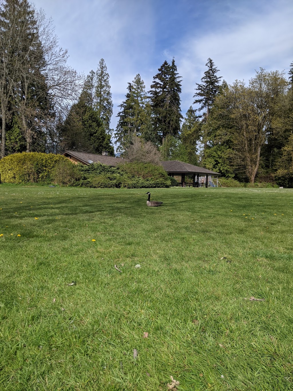 Prospect Point Picnic Area | 6200 Stanley Park Dr, Vancouver, BC V6G, Canada | Phone: (604) 873-7000