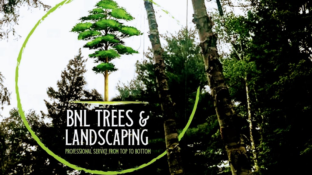 Bnl trees and landscaping | 82 Margaret Dr, North Bay, ON P1B 8G5, Canada | Phone: (249) 358-5953