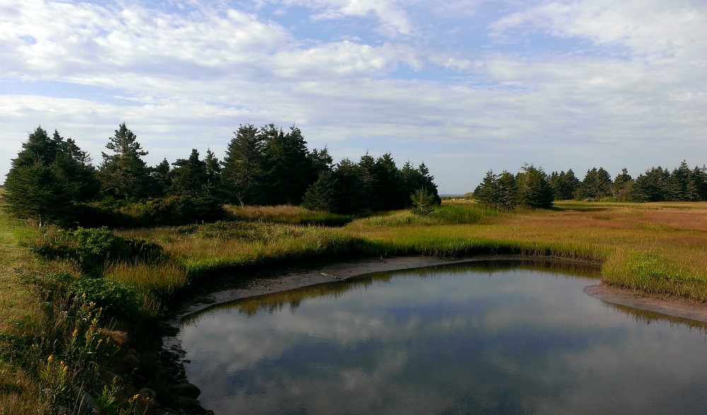 Abbecombec Marshes | Clam Bay, NS B0J 1Y0, Canada