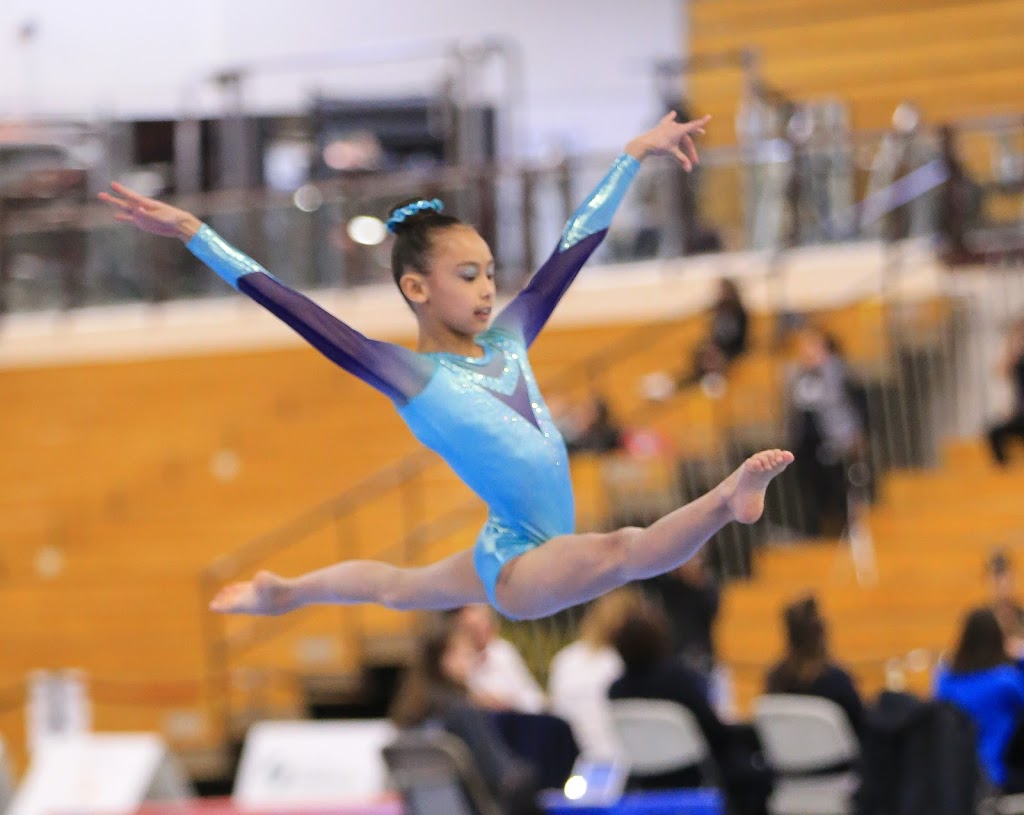 Dreams Gymnastics Academy | 9527 49 St NW, Edmonton, AB T6B 2L8, Canada | Phone: (780) 440-0014