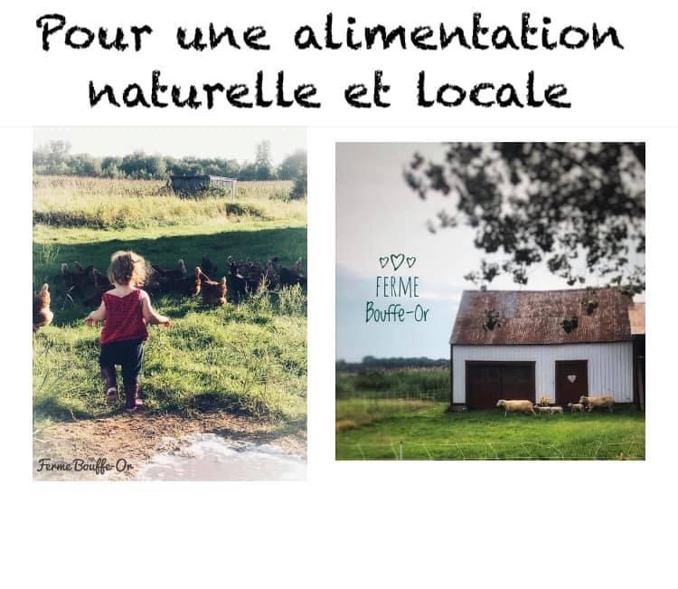 Ferme Bouffe-Or | 234 QC-133, Sabrevois, QC J0J 2G0, Canada | Phone: (450) 358-2788