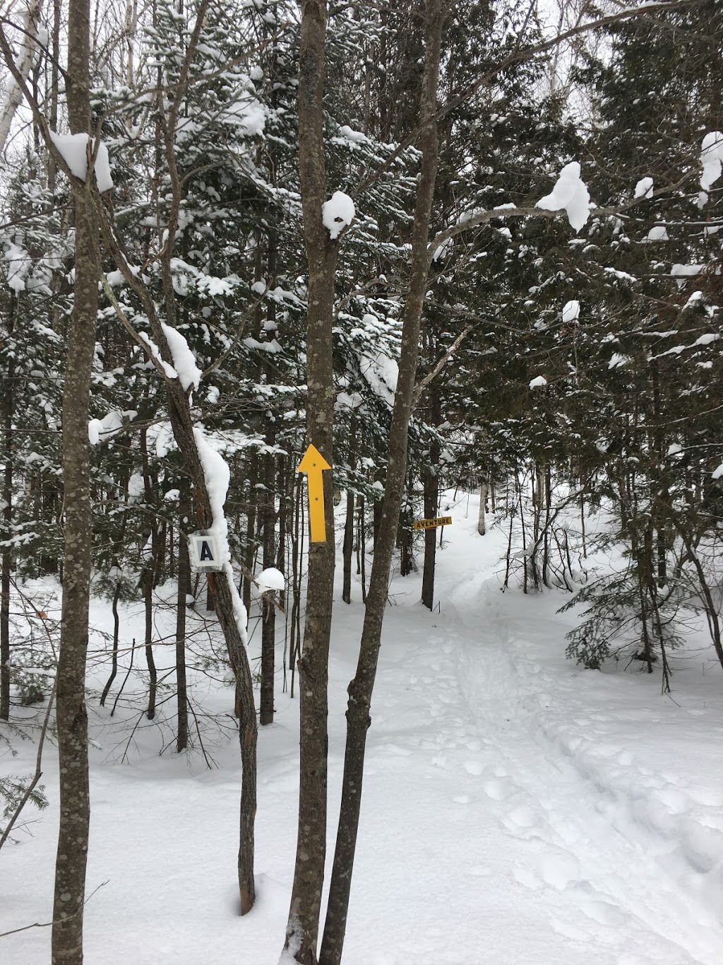 Club de ski de fond de labelle | Chemin de la Mine, Labelle, QC J0T 1H0, Canada | Phone: (819) 686-2008