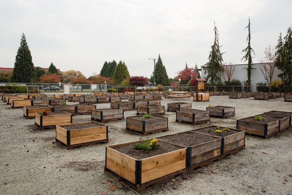 Cambie & 59th Temporary Community Garden | 7525 Cambie St, Vancouver, BC V6P 3H6, Canada | Phone: (778) 381-8337