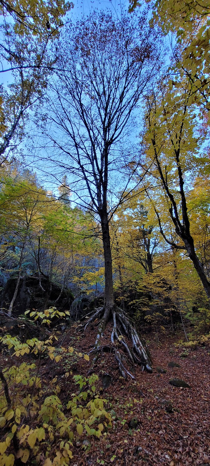 Sentier Du Promontoire Panoramique De La Baie Dominique | 44-210 Chem. Ferland, Saint-Michel-des-Saints, QC J0K 3B0, Canada | Phone: (450) 751-4219