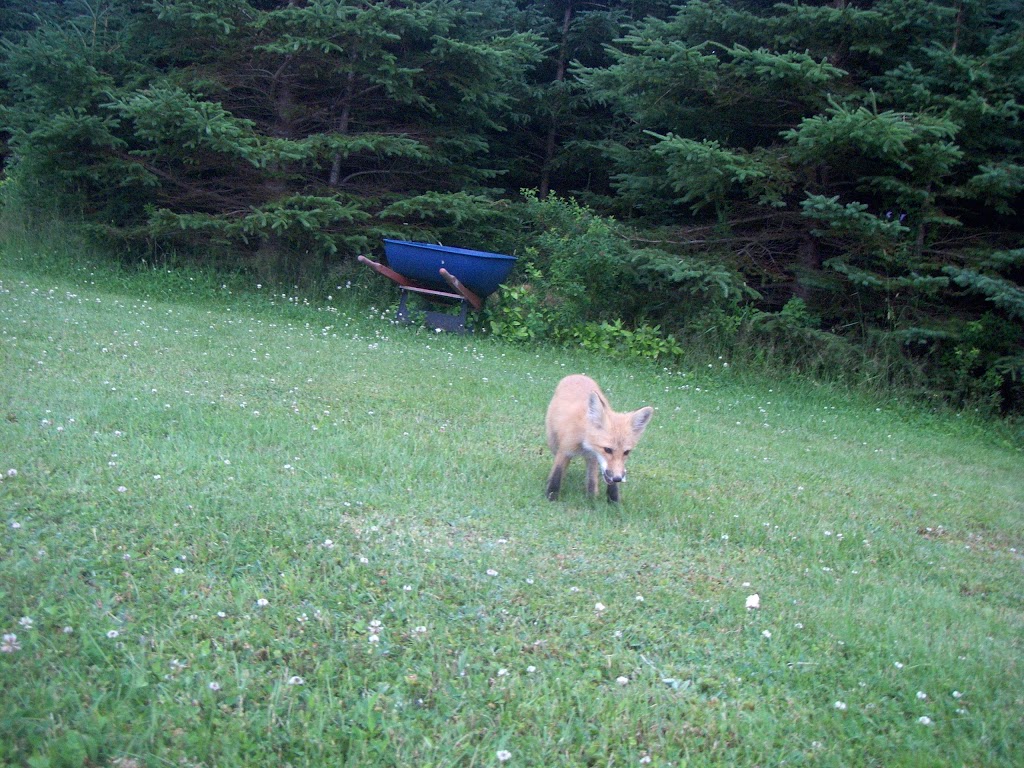 Rustico Acres Cottages | 7567 Cavendish Rd, North Rustico, PE C0A 1X0, Canada | Phone: (902) 629-5036