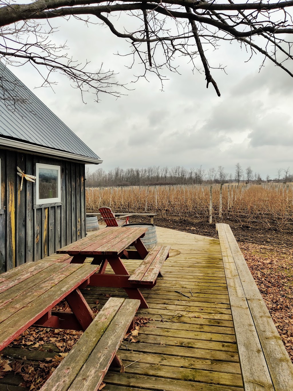 Long Dog Vineyard & Winery | 104 Brewers Rd, Milford, ON K0K 2P0, Canada | Phone: (613) 476-8807