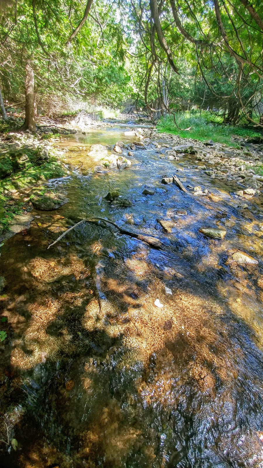 Bruce Trail | Hockley Rd, Orangeville, ON L9W 2Y8, Canada