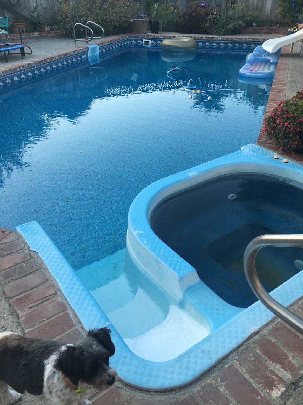 Poolstepspecialists.com | 9 James St, Whitby, ON L1M 1A8, Canada | Phone: (905) 391-7435