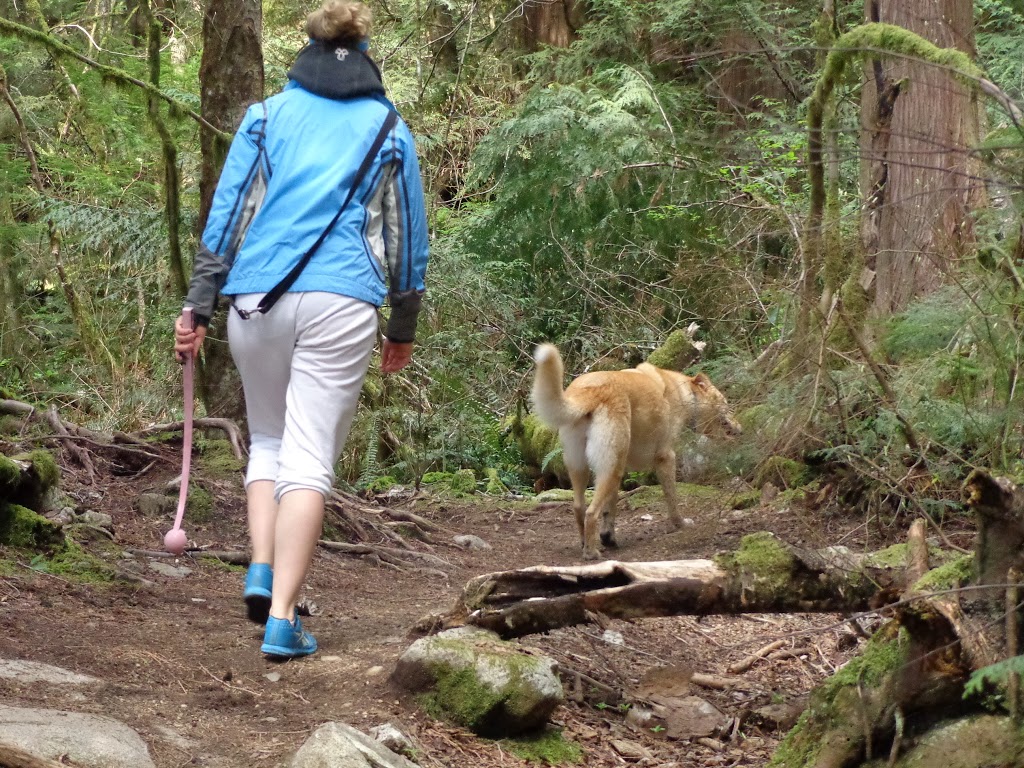 Coho Park Trail | 40460 Parkway Rd, Squamish, BC V8B 0L1, Canada