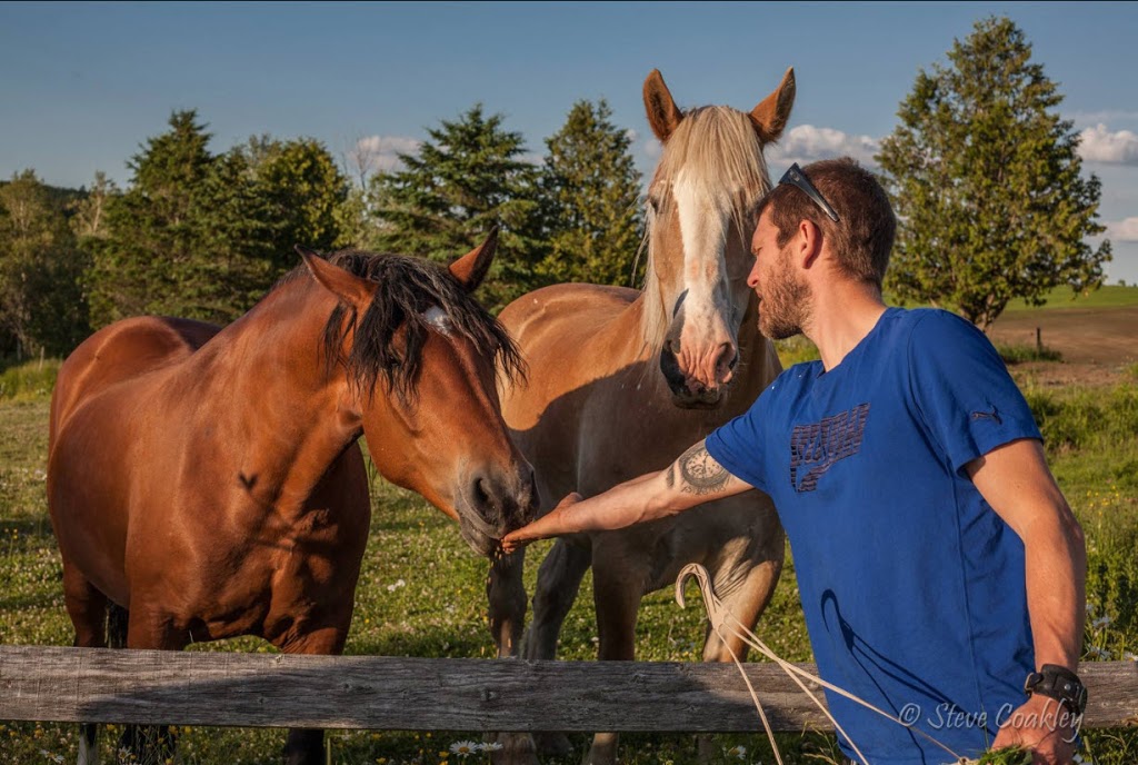 Camping de La Rivière Nicolet | 32 16e Rang, Wotton, QC J0A 1N0, Canada | Phone: (819) 828-0108