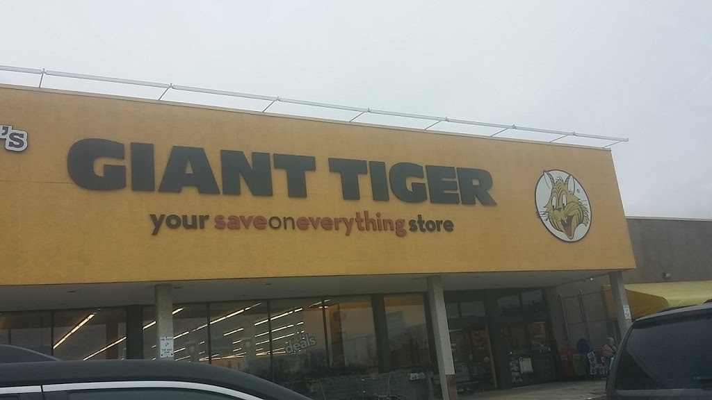 Giant Tiger | 55 Angeline St N, Lindsay, ON K9V 5B7, Canada | Phone: (705) 328-9572