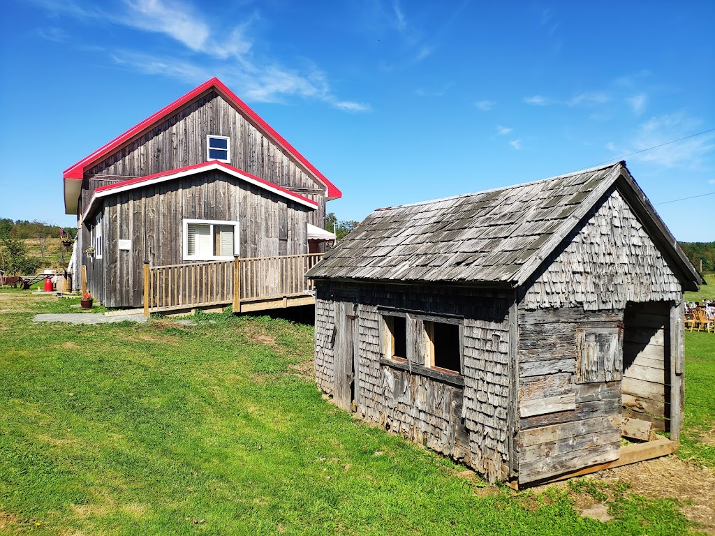 The Barn at Sadie Belle Farm | 1636 Bishopville Rd, Hantsport, NS B0P 1P0, Canada | Phone: (902) 809-2359