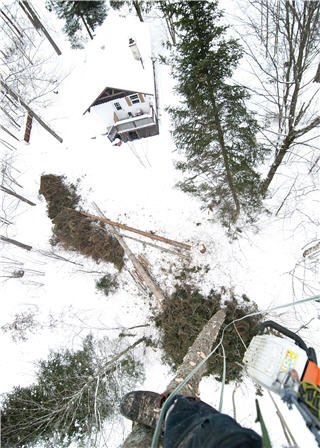 Altitude Arboriculture | 40 Chem. des Lacs, Lac-Beauport, QC G3B 1C2, Canada | Phone: (418) 849-1882