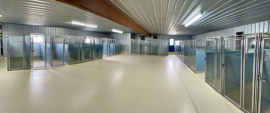 Cloud Nine Pet Boarding | 1070-48520 HWY 2A, AB T4X 2S4, Canada | Phone: (825) 995-1344