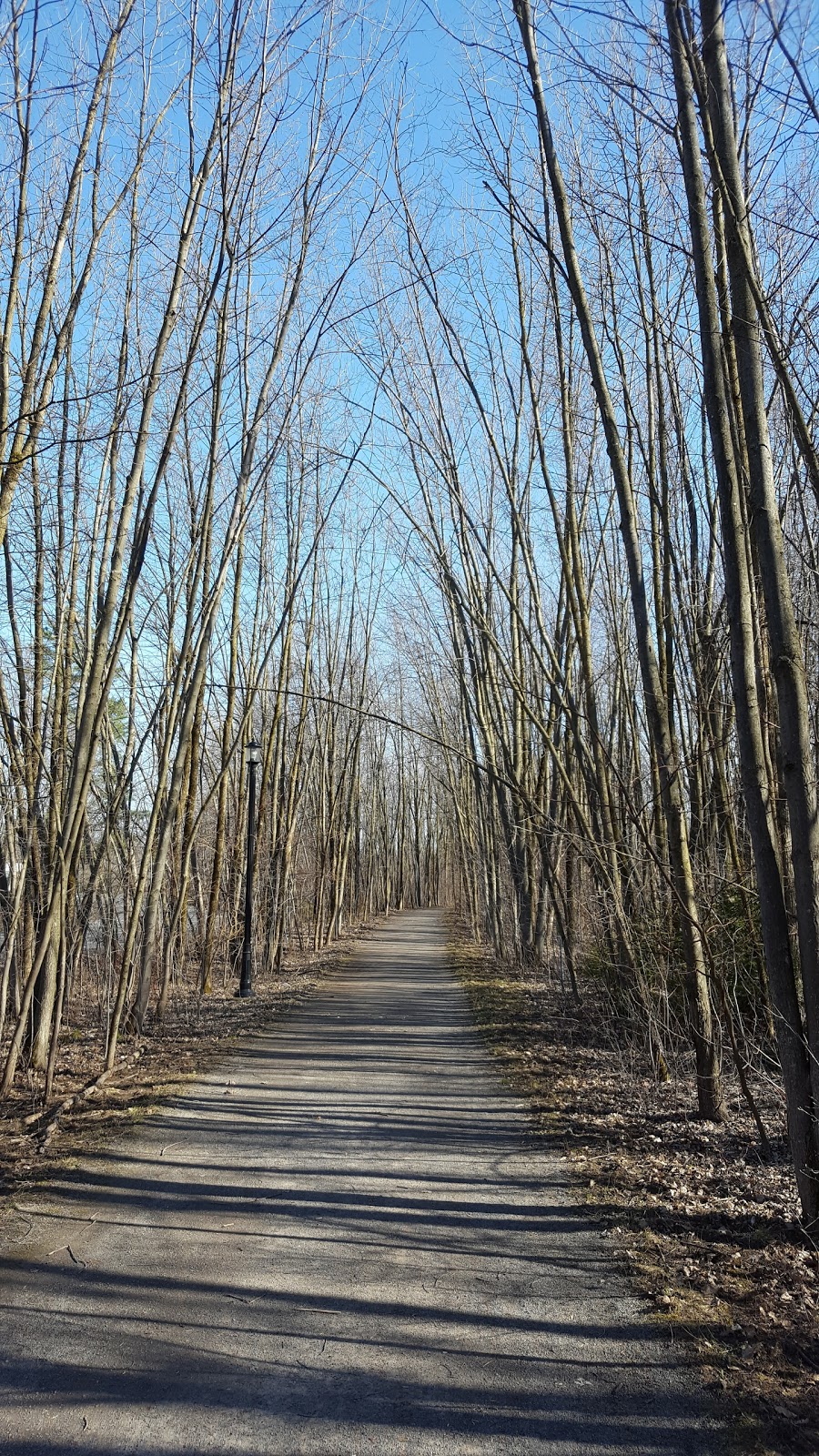 Parc Riverain Du Domaine Garth | Rivière aux Chiens, Lorraine, QC J6Z 0A6, Canada