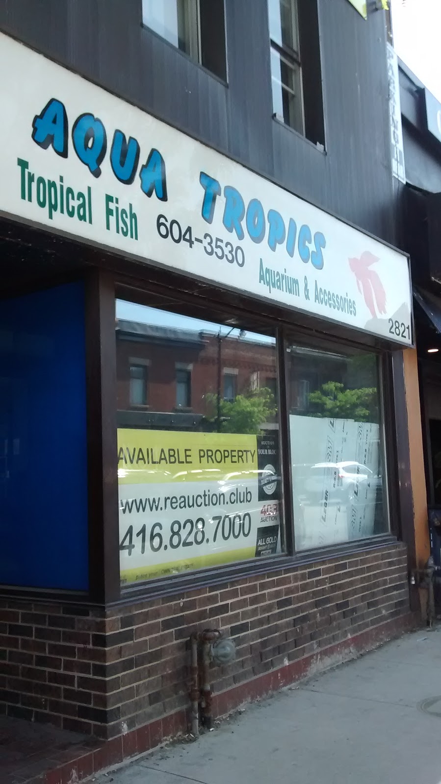 Aqua Tropics | 473D Rogers Rd, Toronto, ON M6M 0B3, Canada | Phone: (416) 604-3530