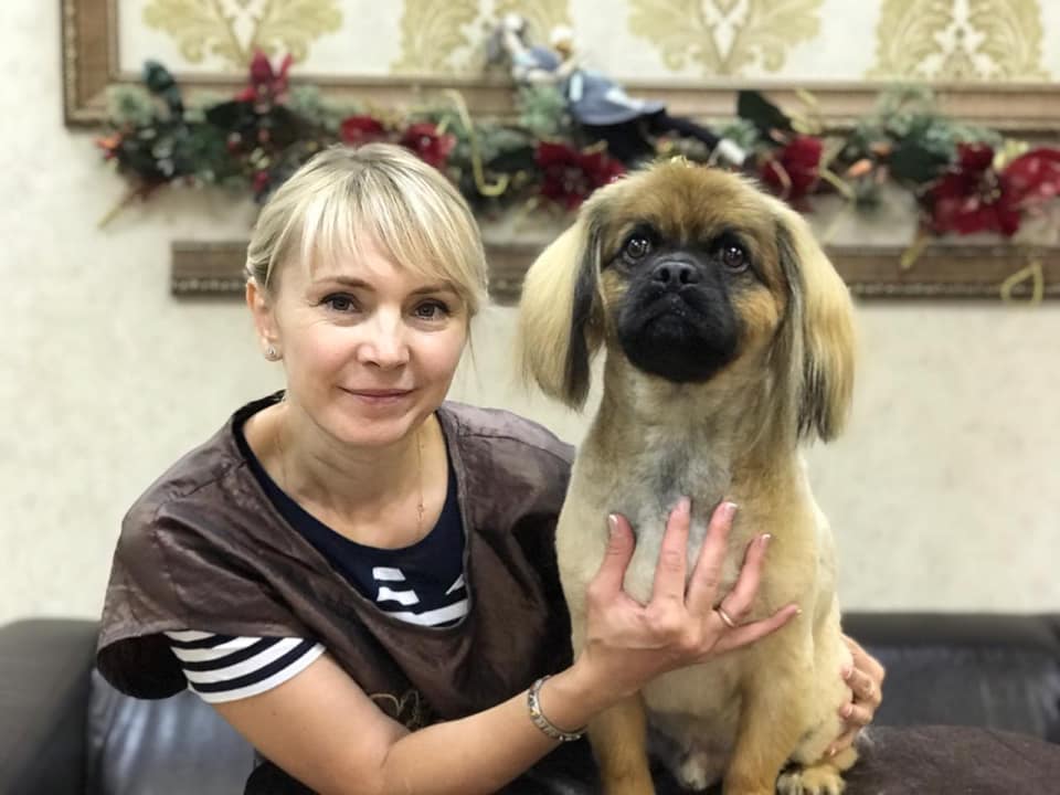 Bella Grooming (Small Dogs) | 256 Soprano Ave, Ottawa, ON K4M 0P8, Canada | Phone: (647) 219-4420