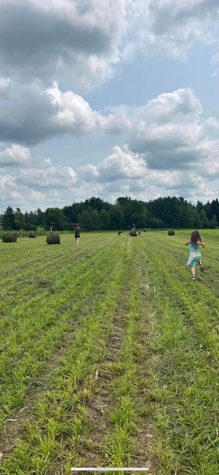 Gemme mon été à la ferme | 318 Av. des Érables, Brigham, QC J2K 0H1, Canada | Phone: (450) 522-9018