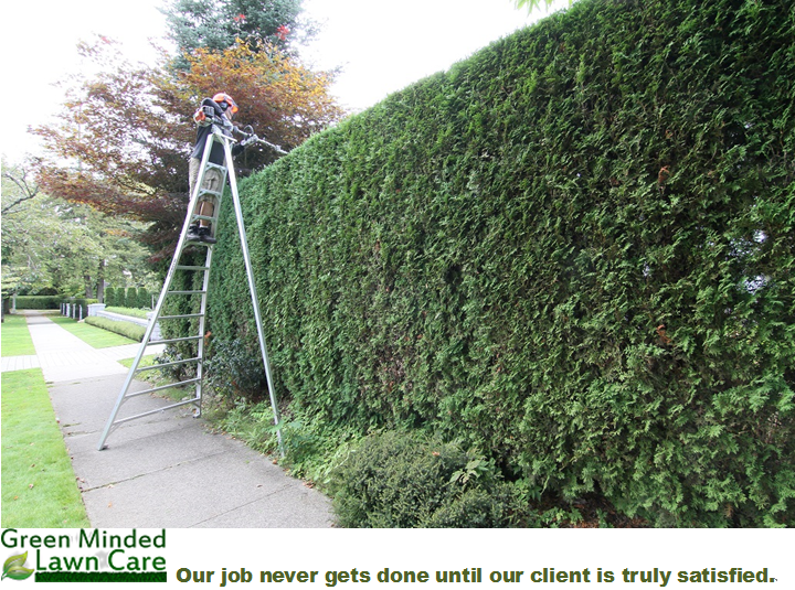 Green Minded Lawn Care | 4237 Marguerite St, Vancouver, BC V6J 4G2, Canada | Phone: (778) 388-2986