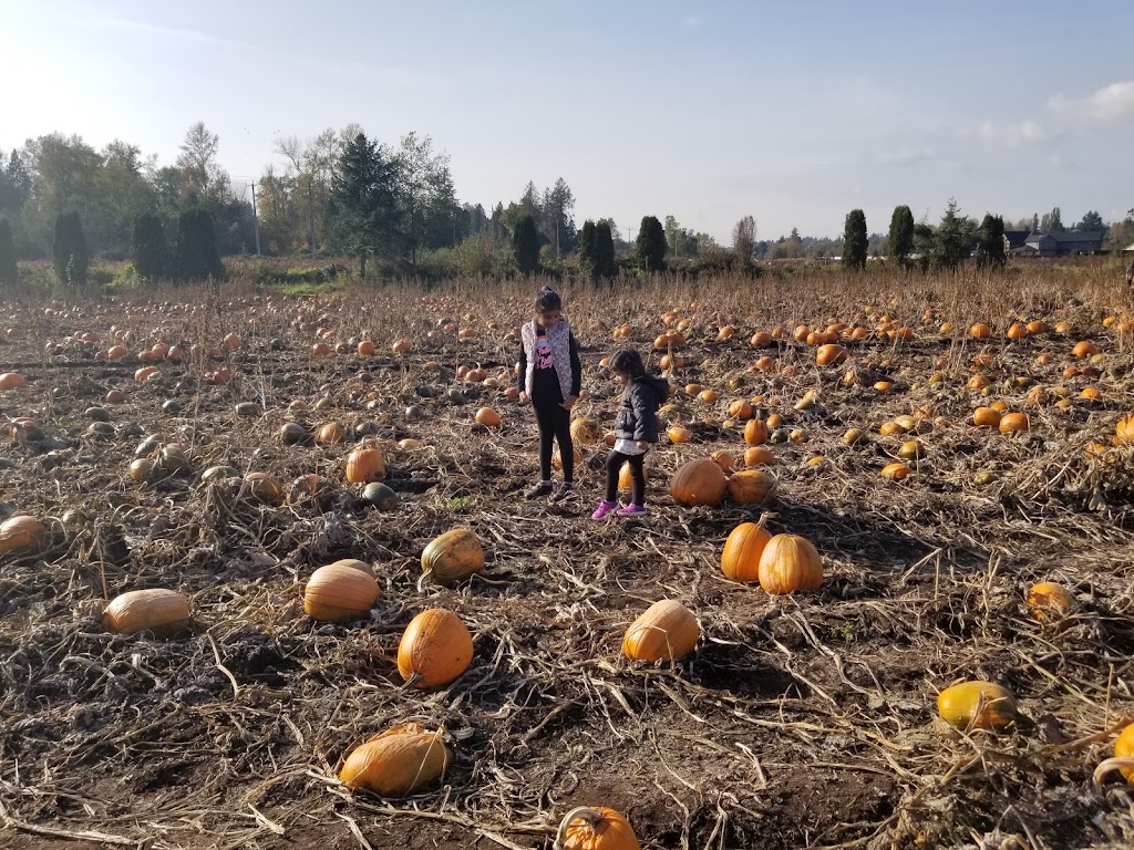 Bose Farms Corn Maze | 5948 156 St, Surrey, BC V3S 4N8, Canada | Phone: (778) 578-5450