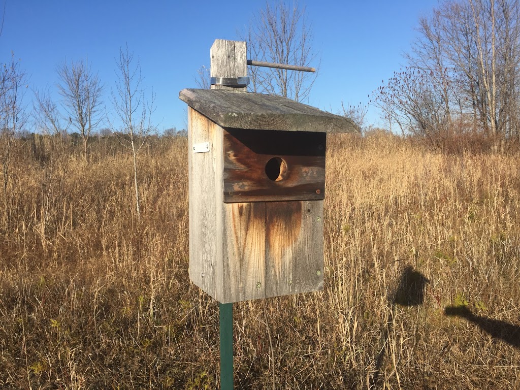 Réserve naturelle du Marais-Léon-Provancher | 151 Rue des Îlets, Neuville, QC G0A 2R0, Canada | Phone: (418) 554-8636