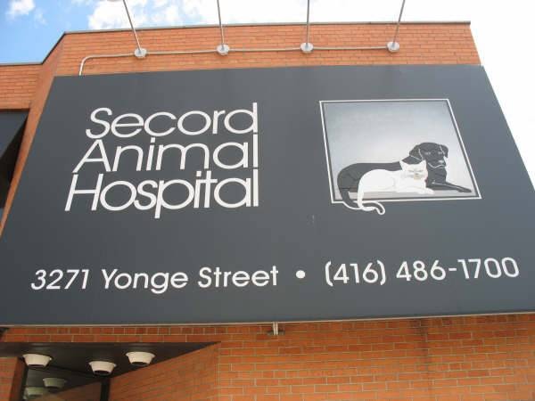 VCA Canada Secord Animal Hospital | 3271 Yonge St, Toronto, ON M4N 2L8, Canada | Phone: (416) 486-1700