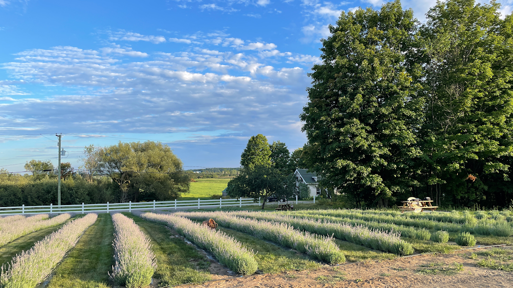 Les Jardins Arômes et Saveurs | 121 Rang du Pied de la Montagne, Sainte-Mélanie, QC J0K 3A0, Canada | Phone: (450) 898-6868