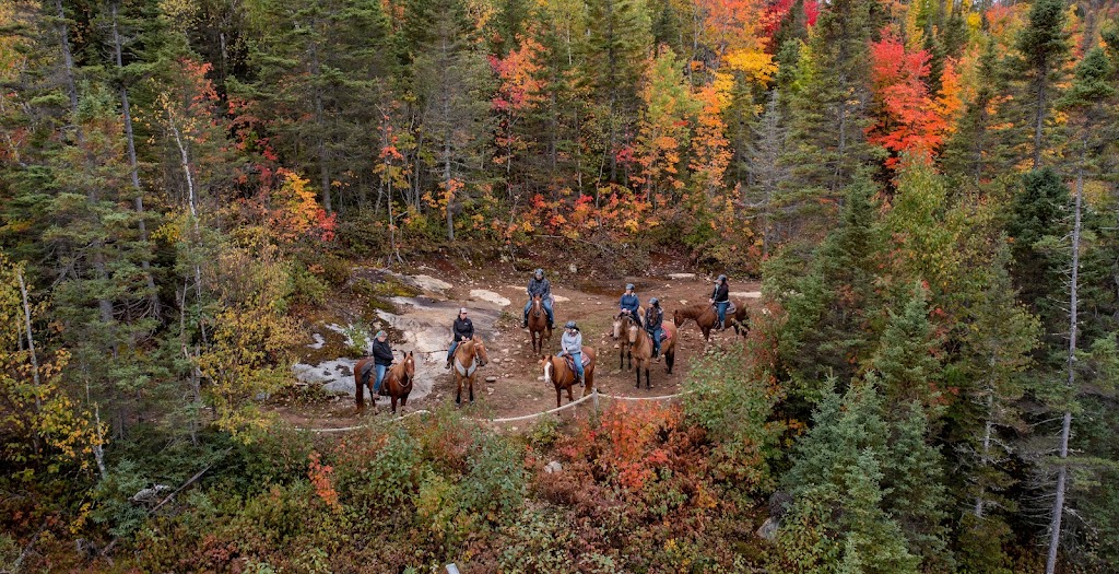 Ranch Le Soleil Le Vent | 243 route 172 Nord, Sacré-Coeur, QC G0T 1Y0, Canada | Phone: (418) 236-4853