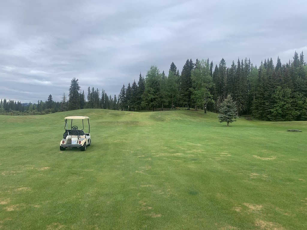 Nordegg Historic Golf Course | Stuart St, Nordegg, AB T0M 2H0, Canada | Phone: (403) 721-2003