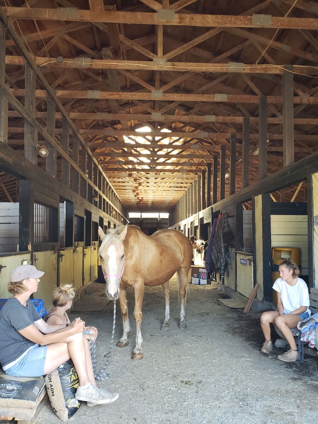 Four Seasons Equesterian Facility | 4409 66 St, Delta, BC V4K 4Y8, Canada | Phone: (604) 328-9360